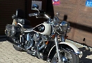 Harley Davidson Softail FLSTC_2