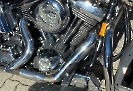 Harley Davidson Softail FLSTC_3